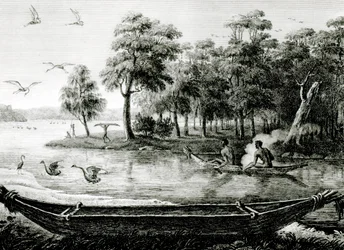 Nueva Holanda: Nueva Gales del Sur